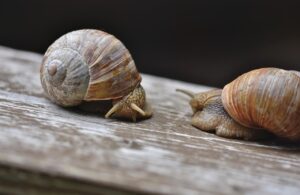 20代未経験が利用する転職エージェントの選び方は？