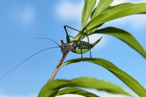 高卒でも無資格から始められるおすすめの仕事は？